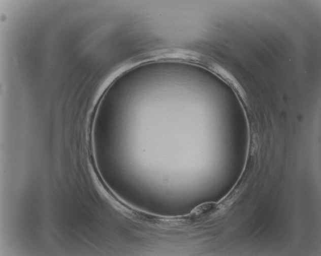 X0000082691483200702091645