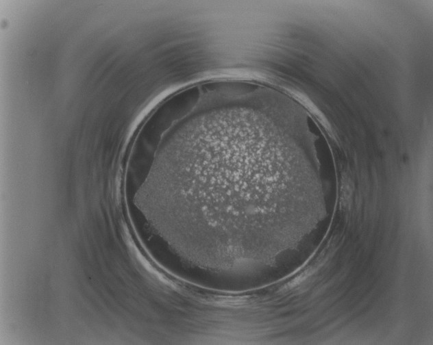 X0000082691484200702091645