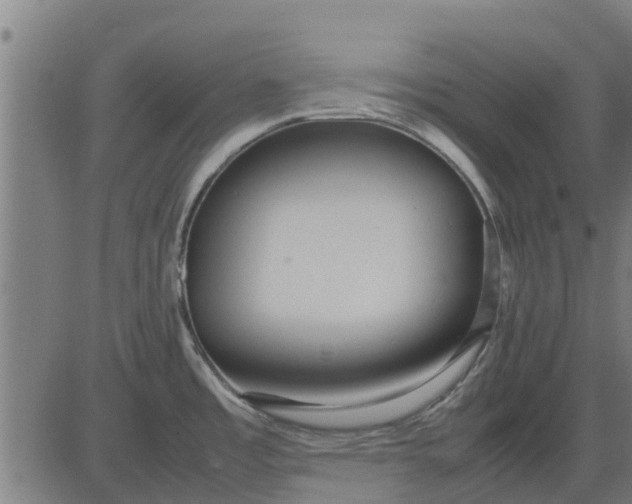 X0000082691485200702091645