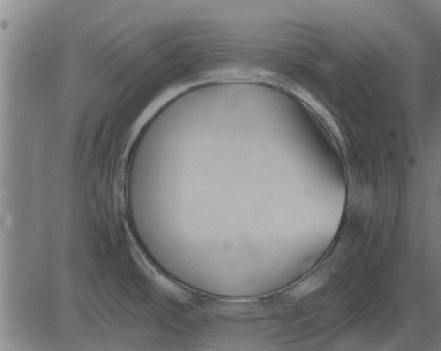 X0000082691486200702091645