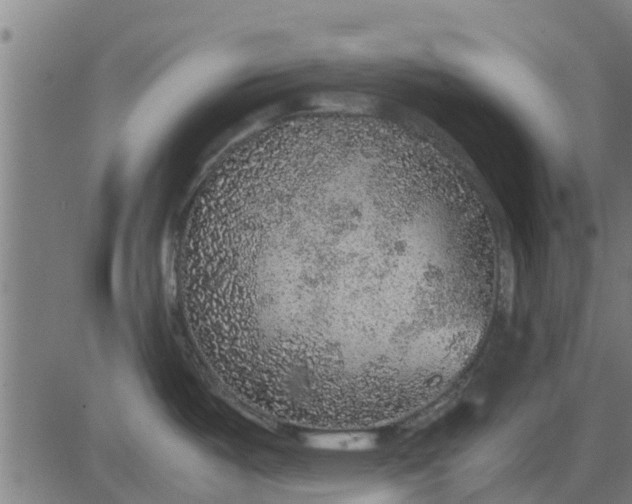 X0000082691487200702091645