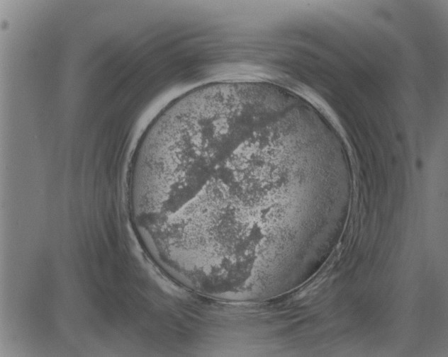 X0000082691488200702091645