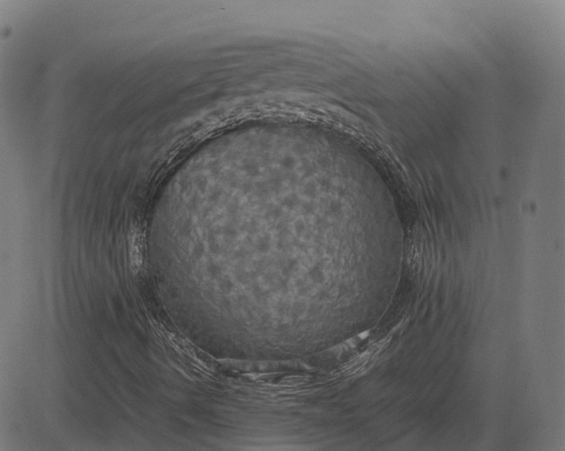 X0000082691490200702091644