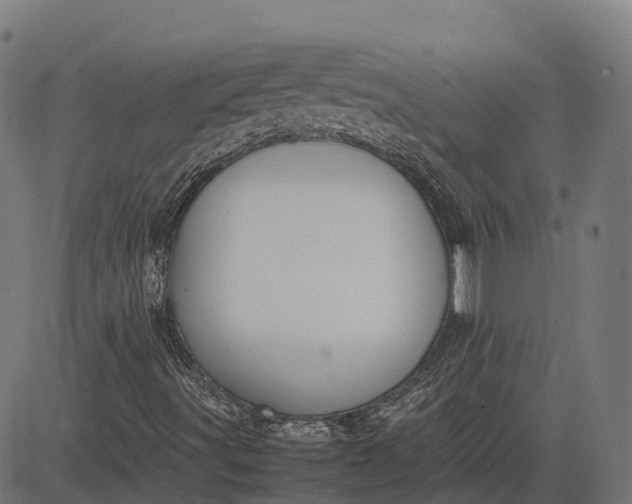 X0000082691491200702091644