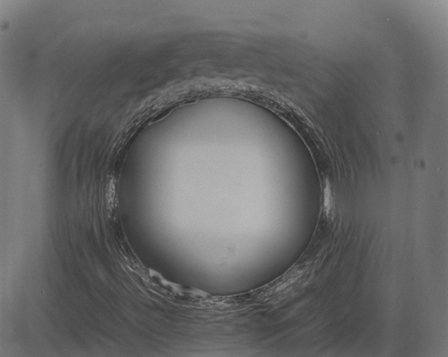 X0000082691492200702091644