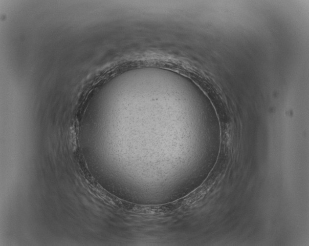 X0000082691493200702091644