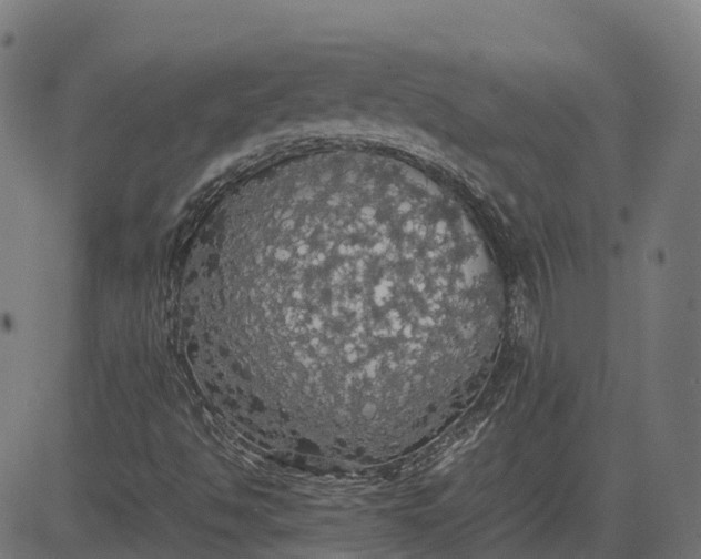 X0000082691494200702091644