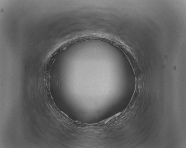 X0000082691496200702091644