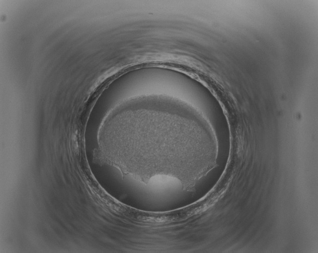 X0000082691497200702091644