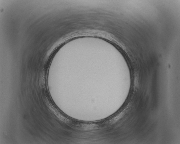 X0000082691498200702091644