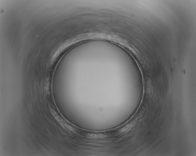 X0000082691499200702091644