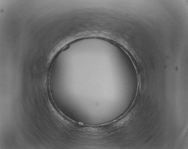 X0000082691500200702091644