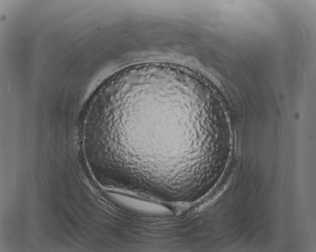 X0000082691501200702091644