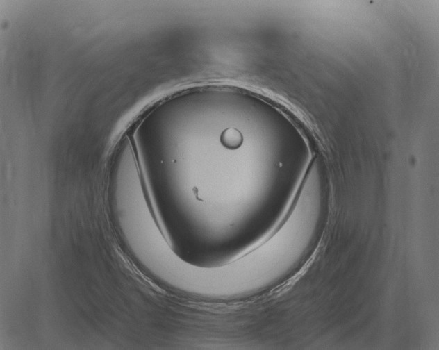 X0000082691502200702091644