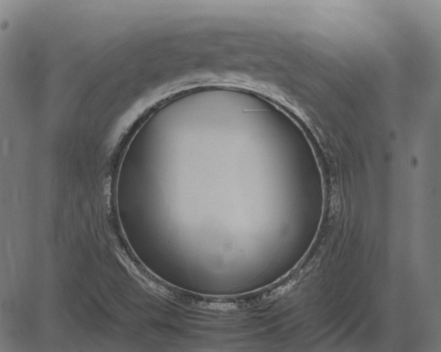 X0000082691503200702091644