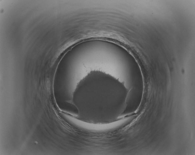 X0000082691505200702091644