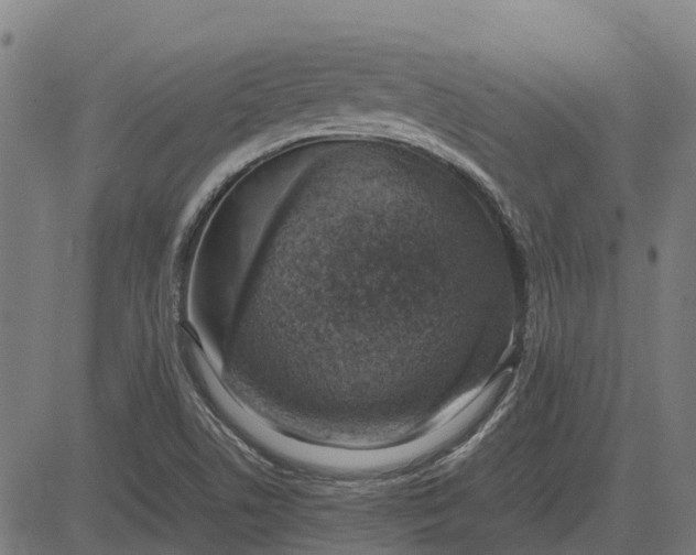 X0000082691506200702091644