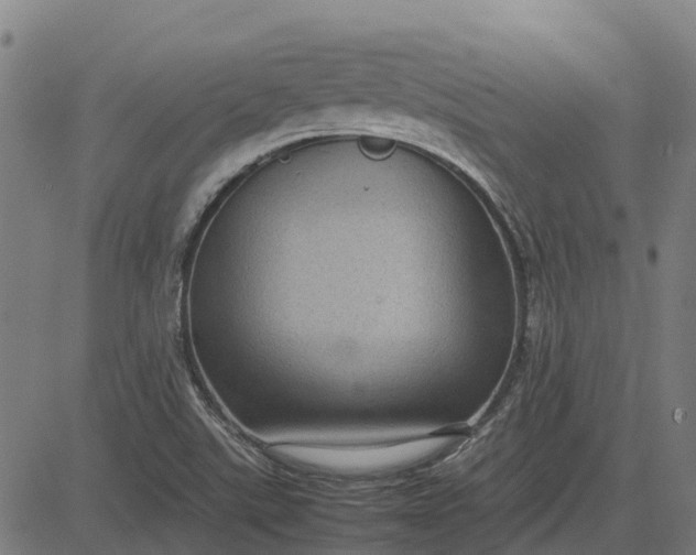 X0000082691507200702091644