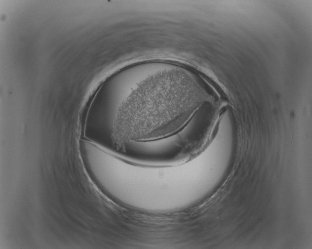 X0000082691508200702091644