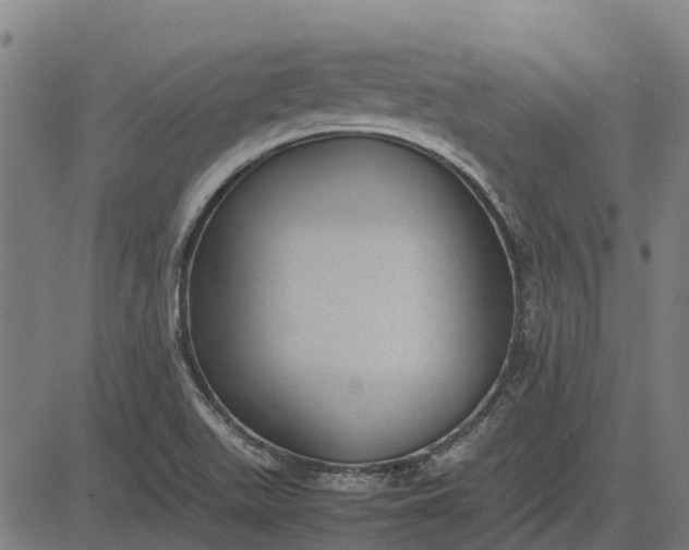 X0000082691511200702091644