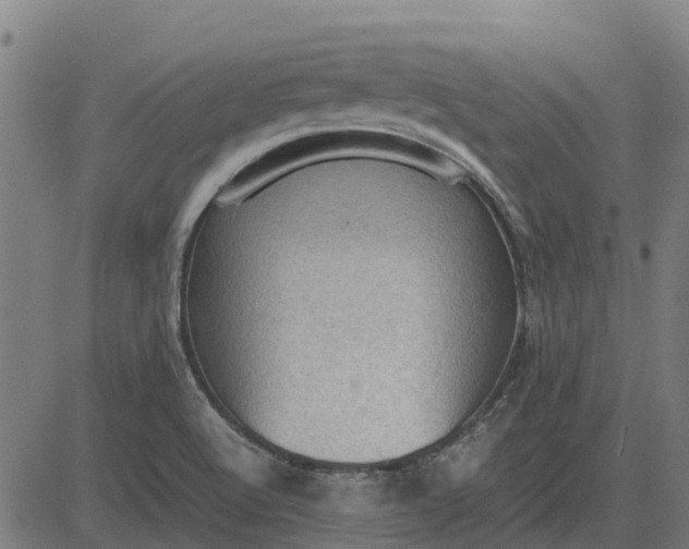 X0000082691512200702091644