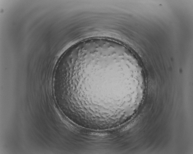 X0000082691513200702091644