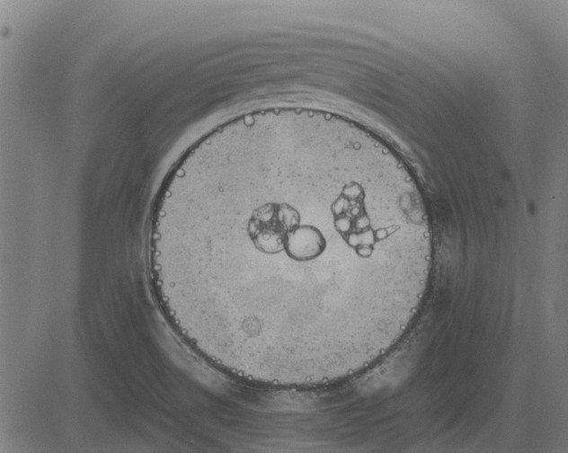 X0000082691514200702091644