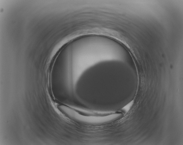 X0000082691515200702091644