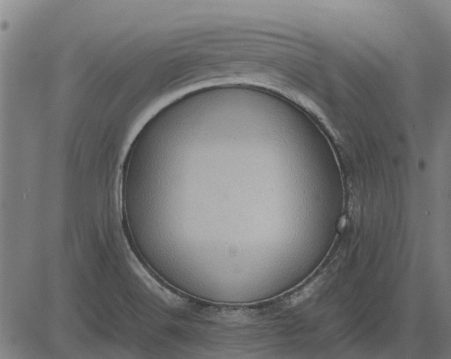 X0000082691516200702091644