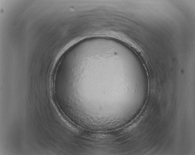 X0000082691517200702091644