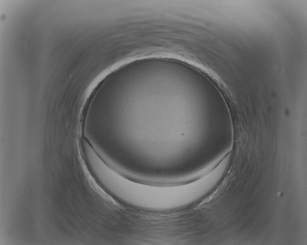 X0000082691518200702091644