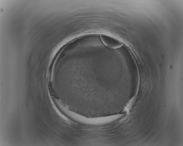 X0000082691519200702091644