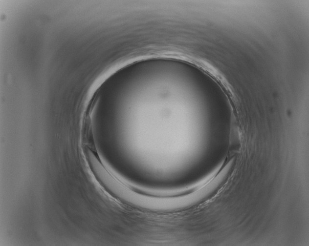 X0000082691520200702091644