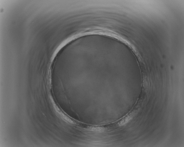 X0000082691522200702091644