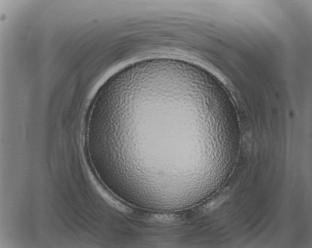 X0000082691523200702091644