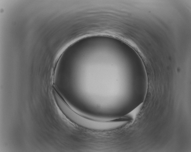 X0000082691524200702091644