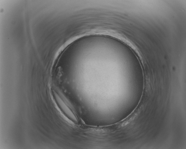 X0000082691525200702091644