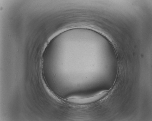 X0000082691526200702091644