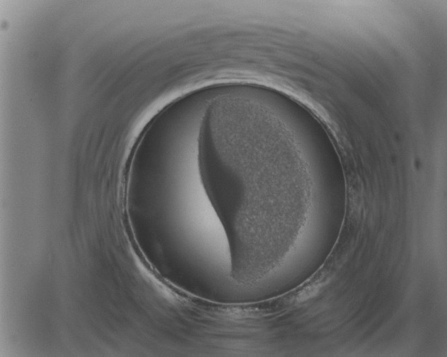 X0000082691527200702091644