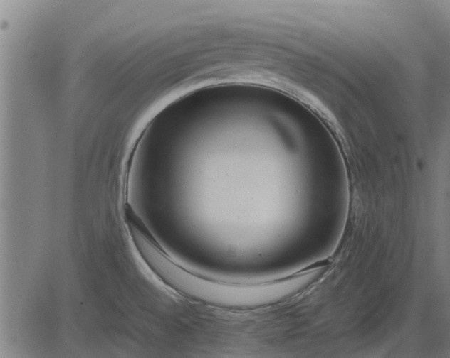 X0000082691528200702091644