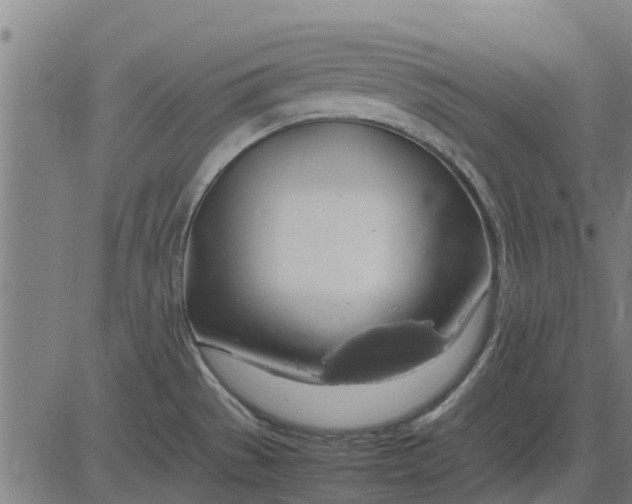 X0000082691529200702091644