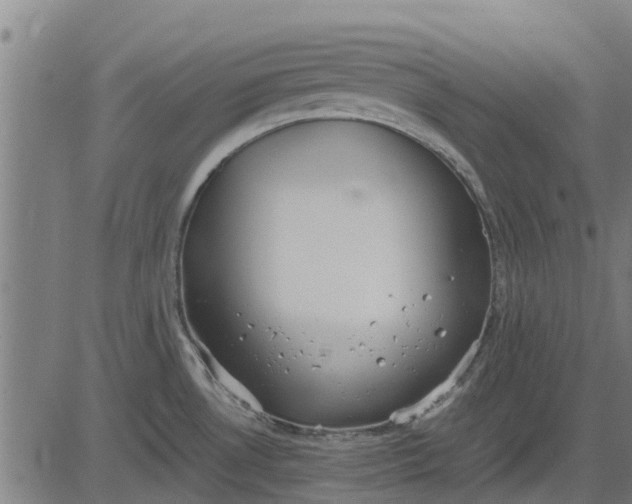 X0000082691530200702091644