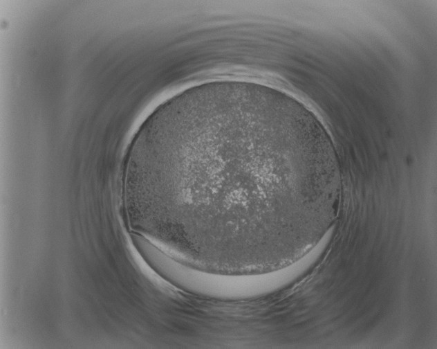 X0000082691531200702091644