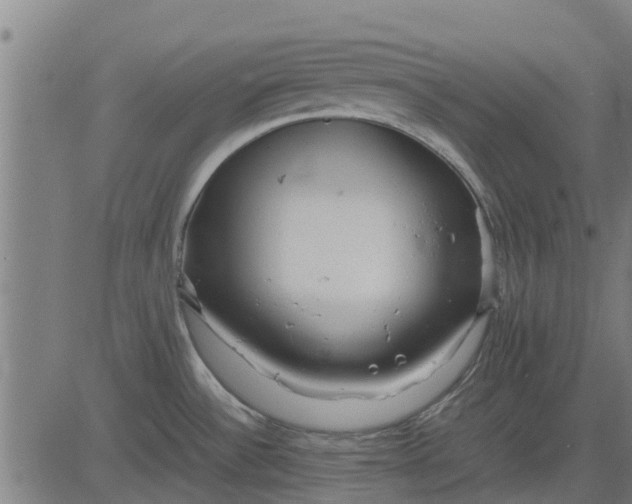 X0000082691532200702091645