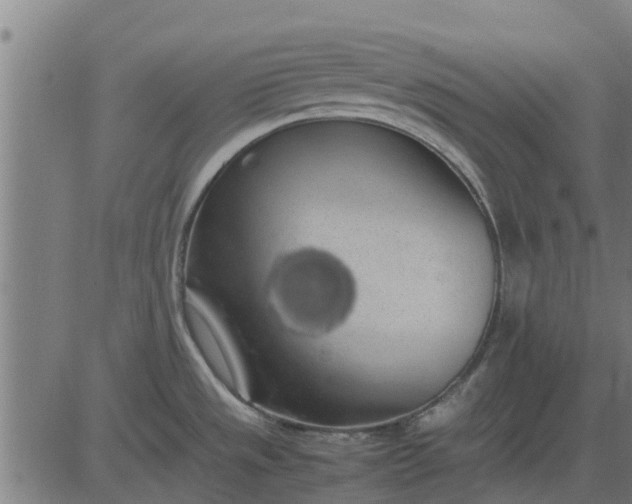 X0000082691533200702091645