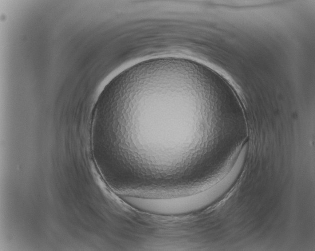 X0000082691534200702091645