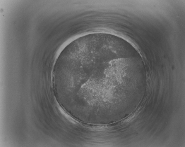 X0000082691535200702091645