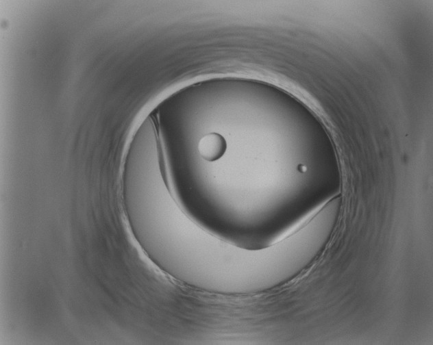 X0000082691536200702091645