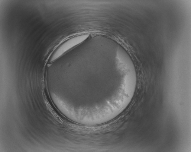 X0000082690002200702161736