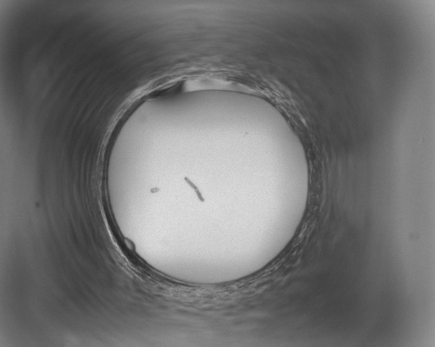 X0000082690003200702161736